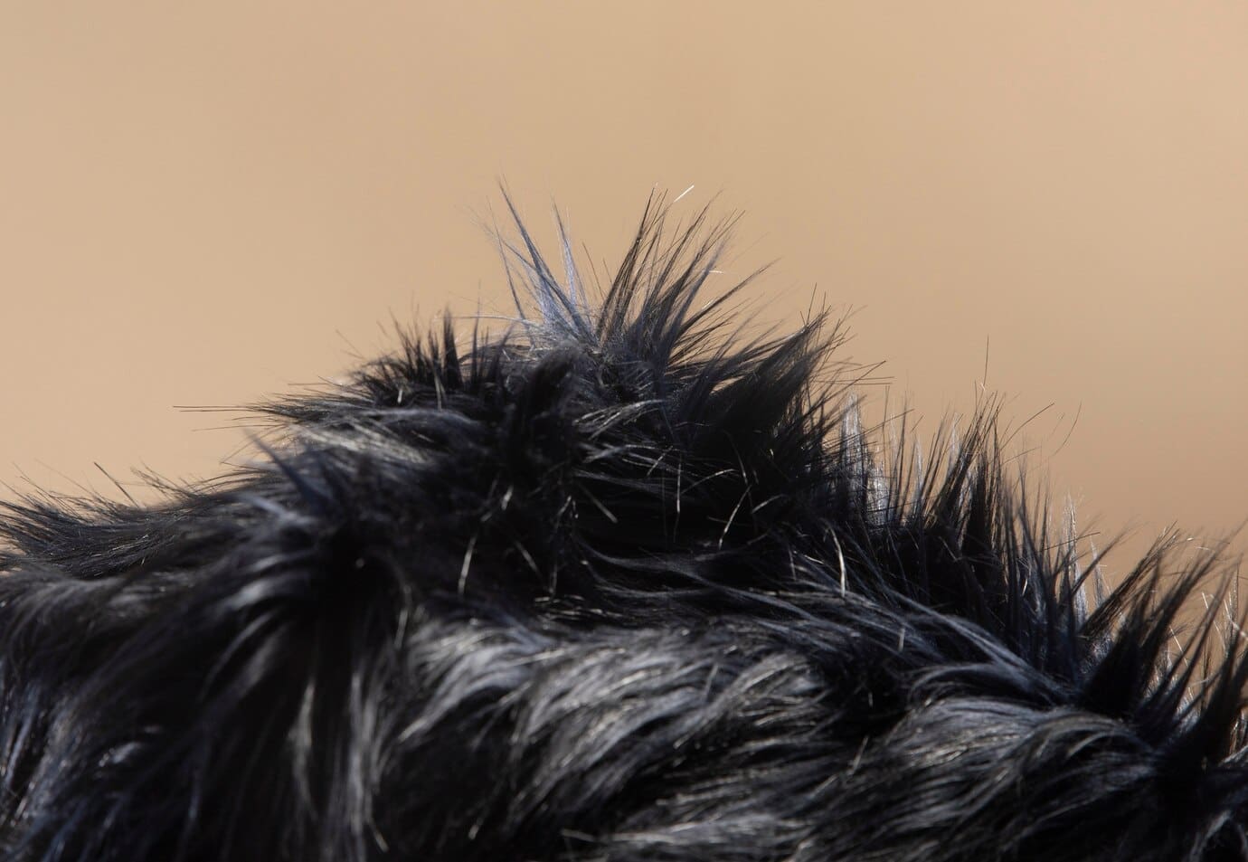 Close-up of black spiky fur against a light brown background.